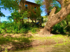 Cozy Treehouse with private sand beach